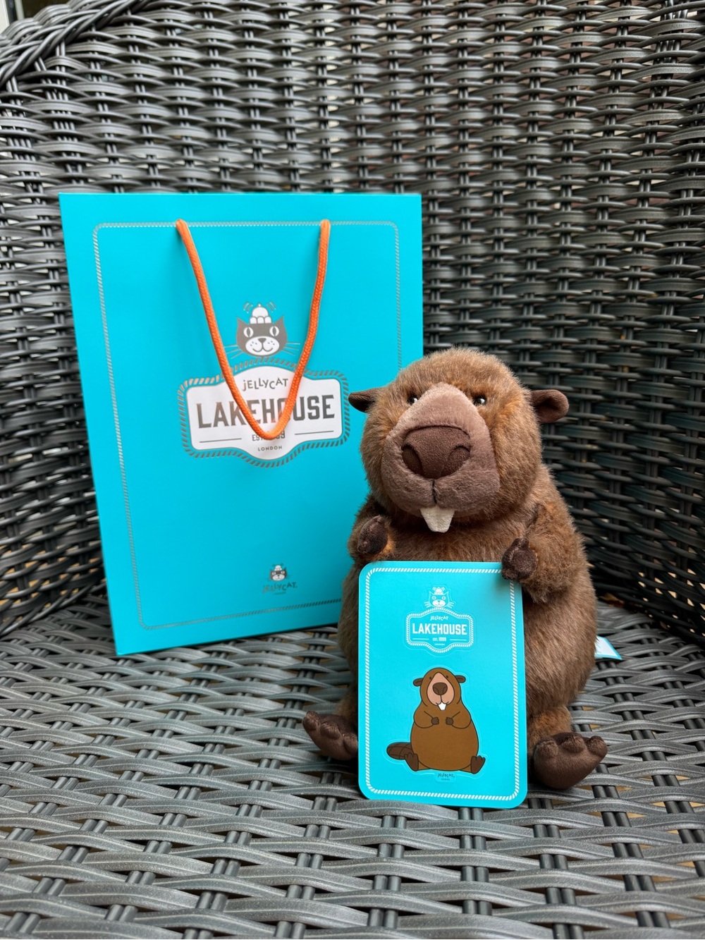 Jellycat Briggs Beaver Set